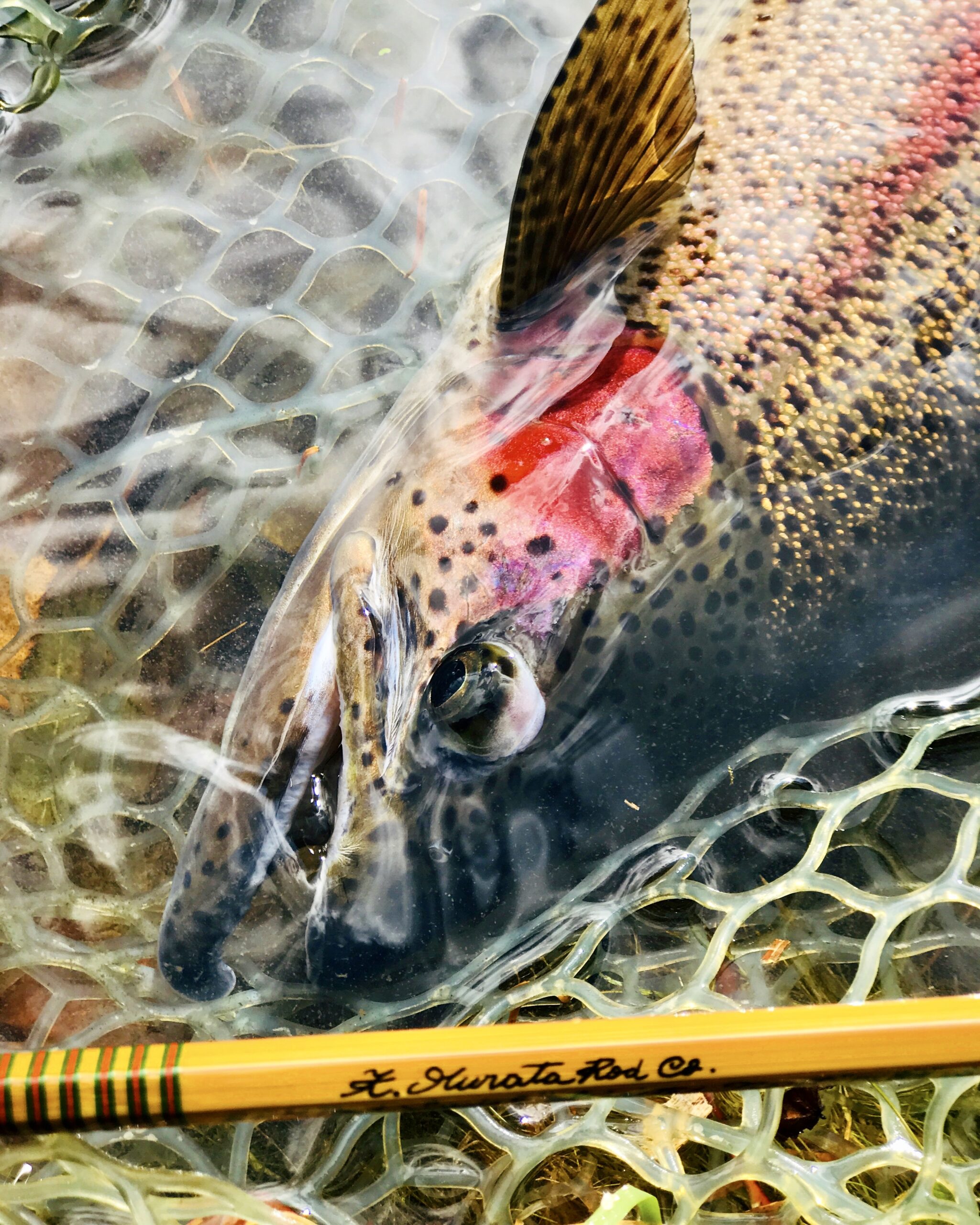 https://matsumoto-base.com